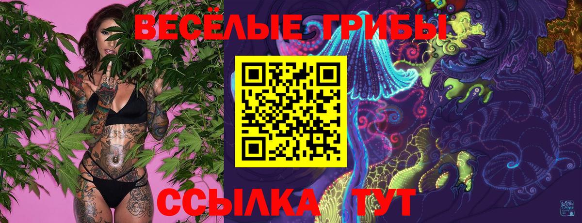 Псилоцибиновые грибы Psilocybine cubensis  Вход с VPN  Зеленокумск 
